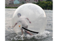 Bunter aufblasbarer Wasser-Ball, sich hin- und herbewegender aufblasbarer Hamster-Ball für Menschen fournisseur
